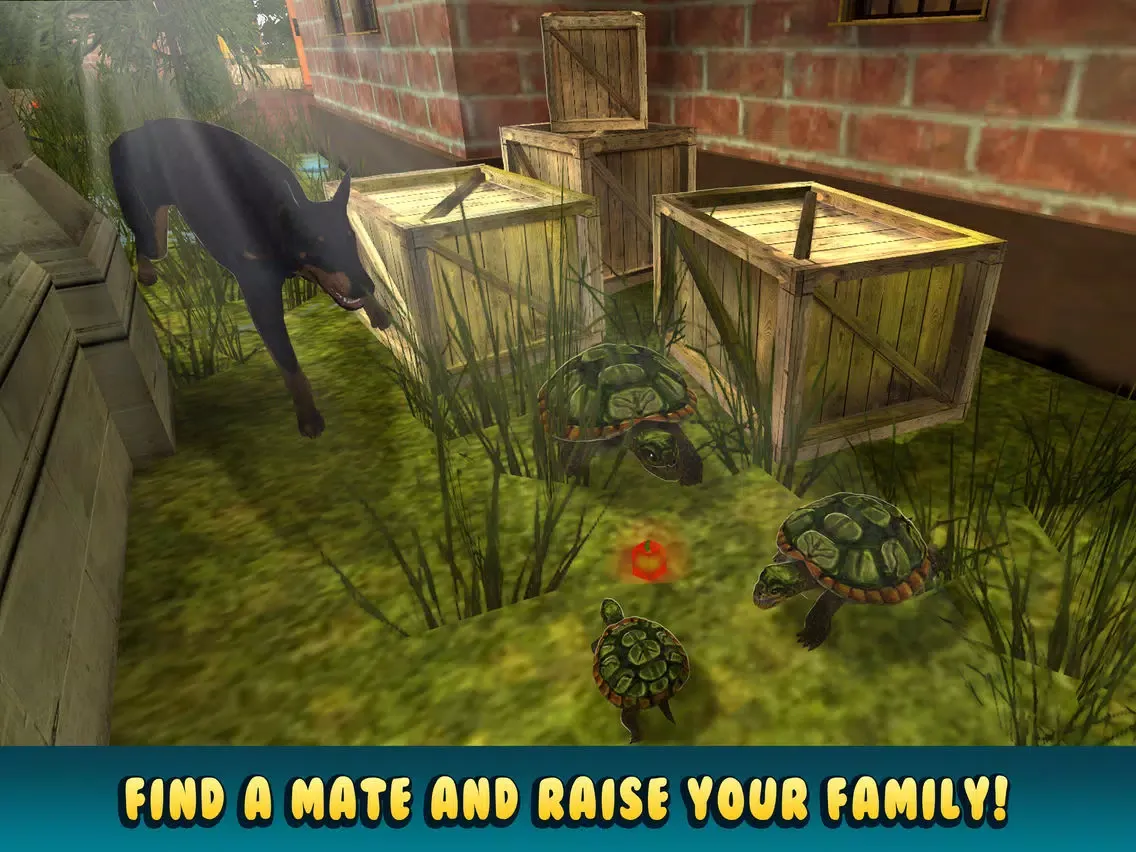 Capturas de tela do Life of Turtle: House Pet Simulator iPad 