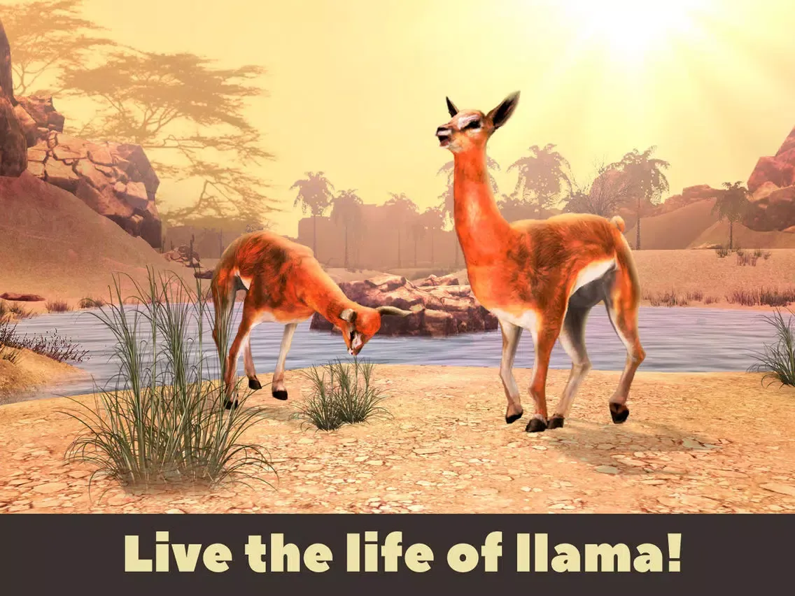 Capturas de tela do Llama Simulator 3D iPad 