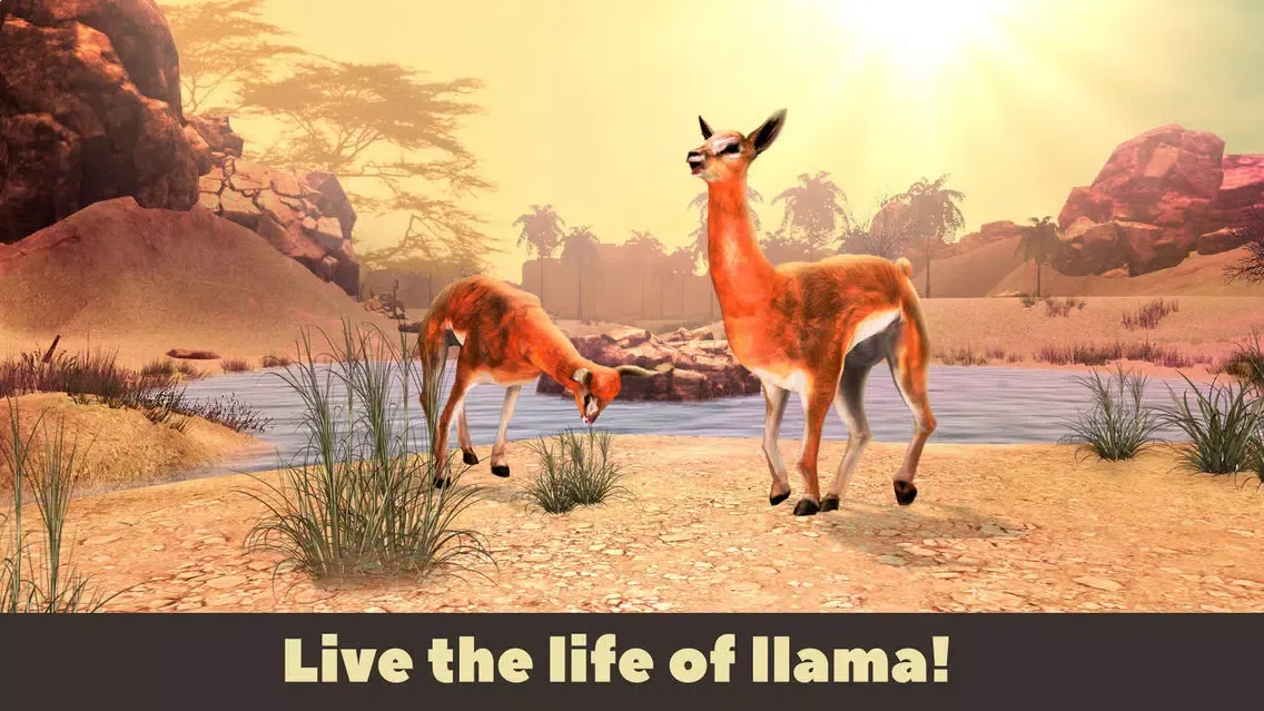 Capturas de tela do Llama Simulator 3D