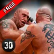 MMA Fighting Championship 3D