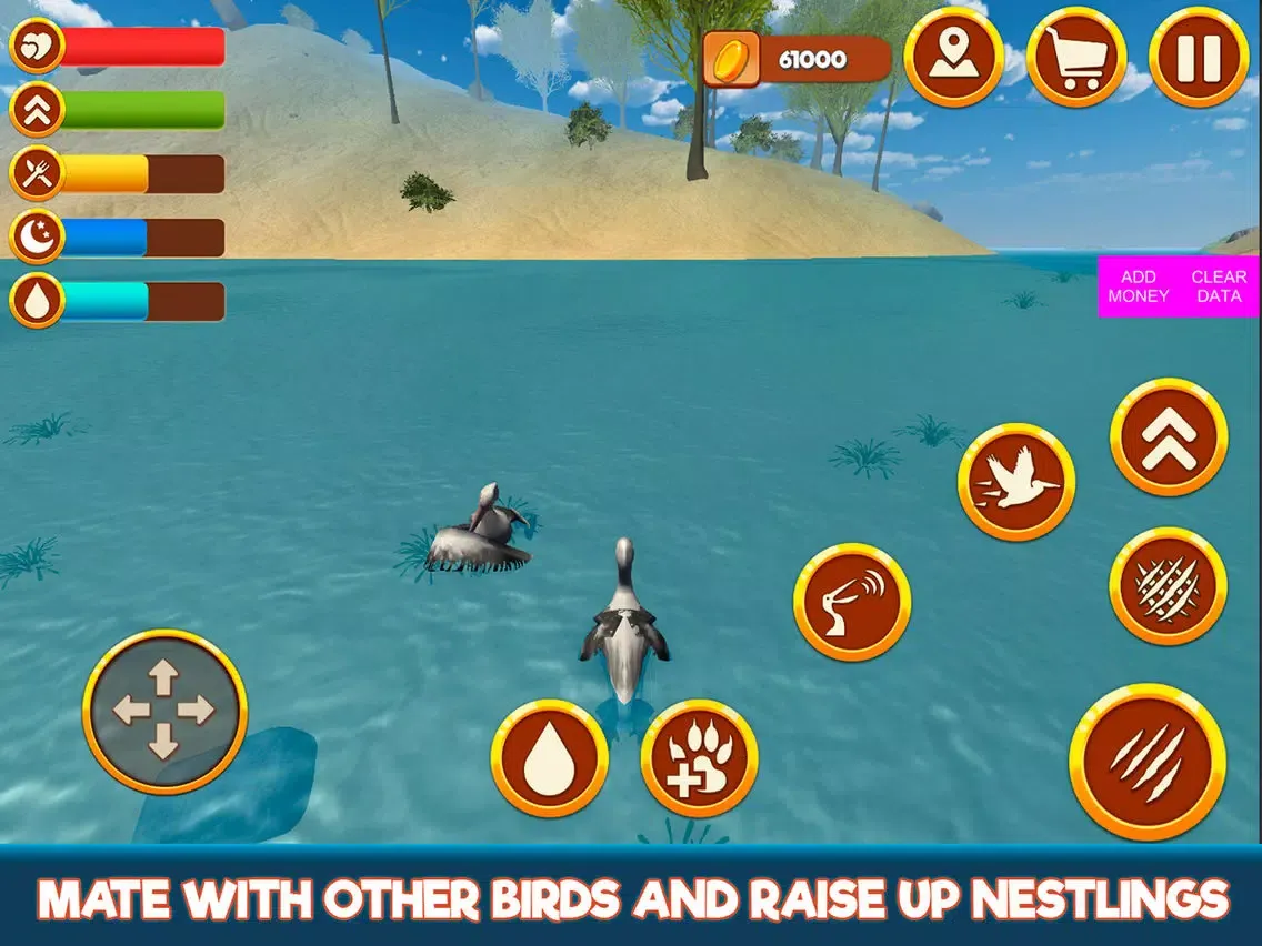 Zrzuty ekranu Wild Pelican Simulator: Sea Bird Life 3D iPad 