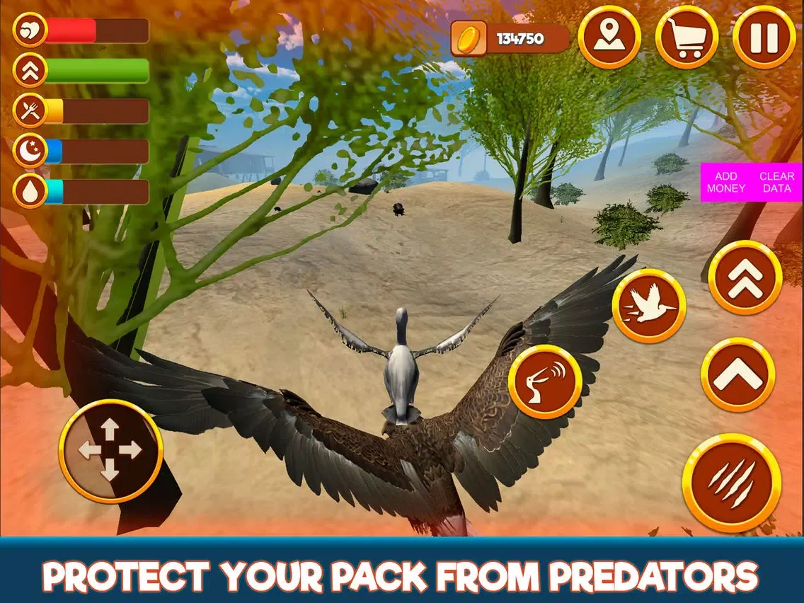 Zrzuty ekranu Wild Pelican Simulator: Sea Bird Life 3D iPad 