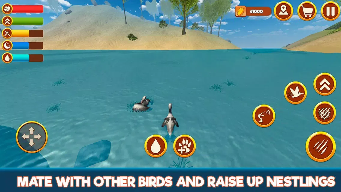 Zrzuty ekranu Wild Pelican Simulator: Sea Bird Life 3D