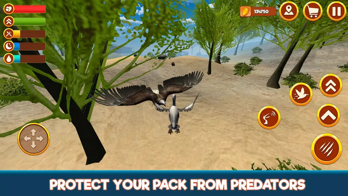 Zrzuty ekranu Wild Pelican Simulator: Sea Bird Life 3D