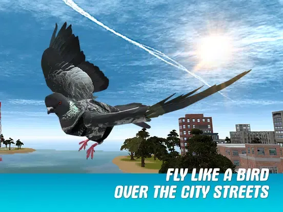 City Pigeon Simulator 3D iPad  Screenshots