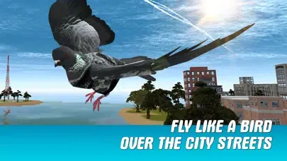 City Pigeon Simulator 3D Screenshots
