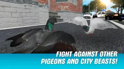 City Pigeon Simulator 3D Screenshots