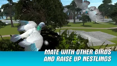 City Pigeon Simulator 3D Screenshots