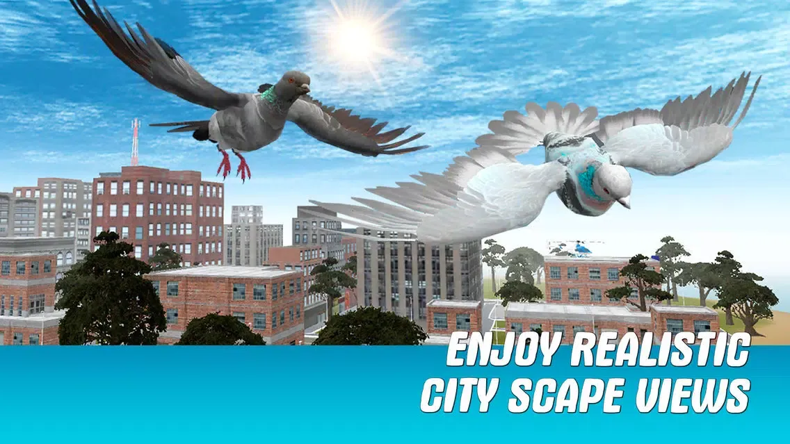 صور City Pigeon Simulator 3D Full