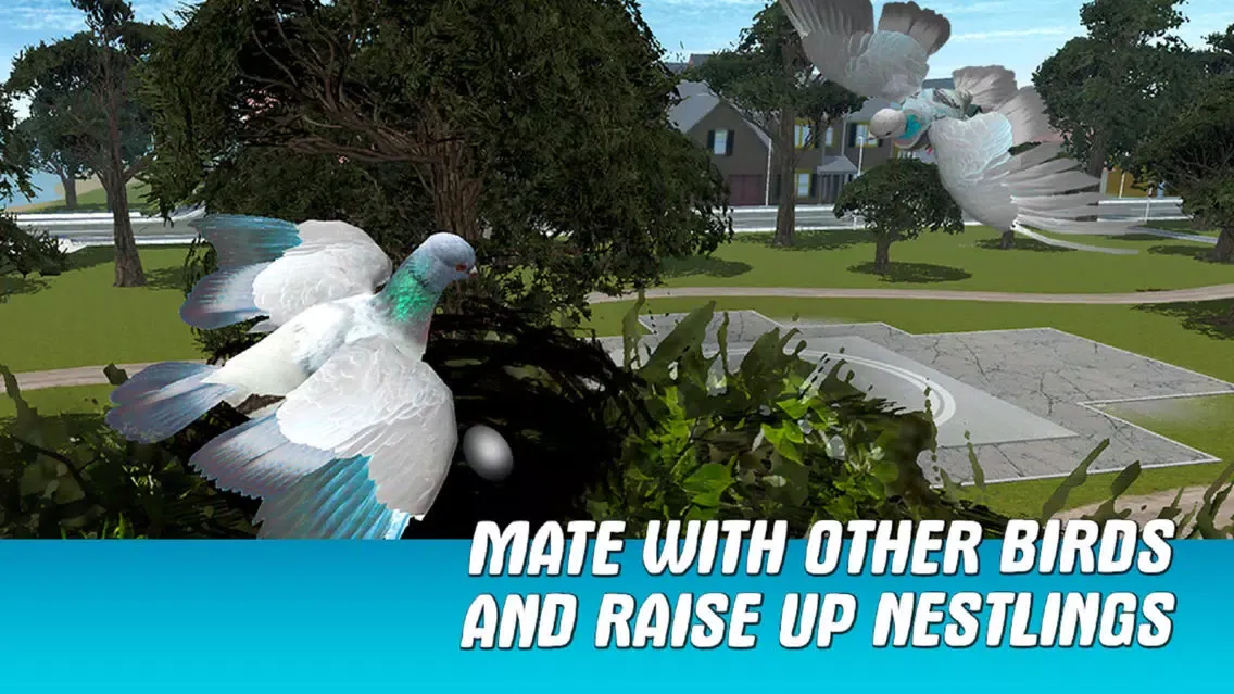 صور City Pigeon Simulator 3D Full