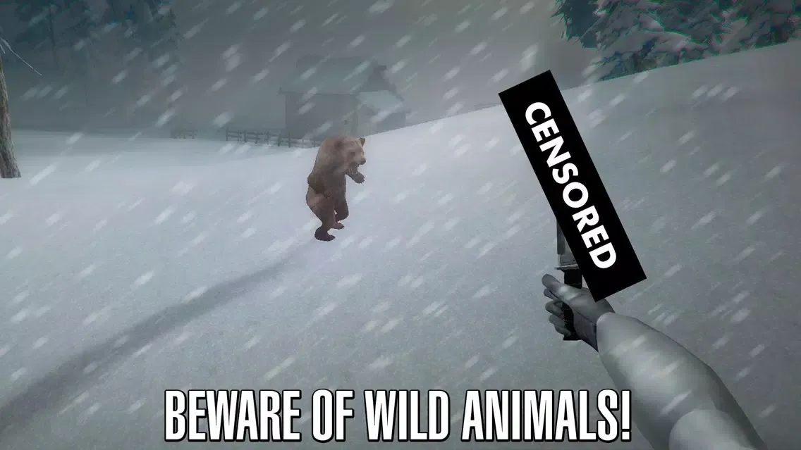 Siberian Survival: Cold Winter Full应用截图