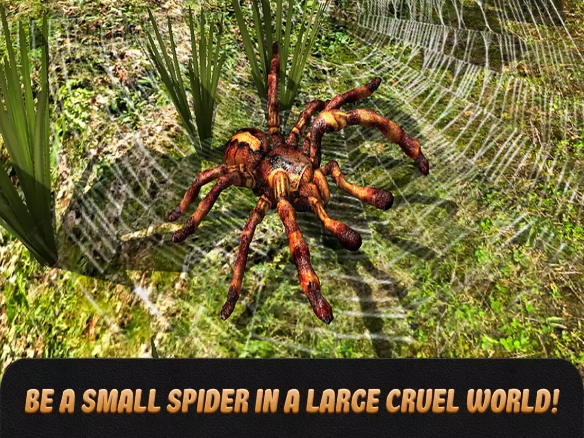 صور Spider Life Simulator 3D Full iPad 