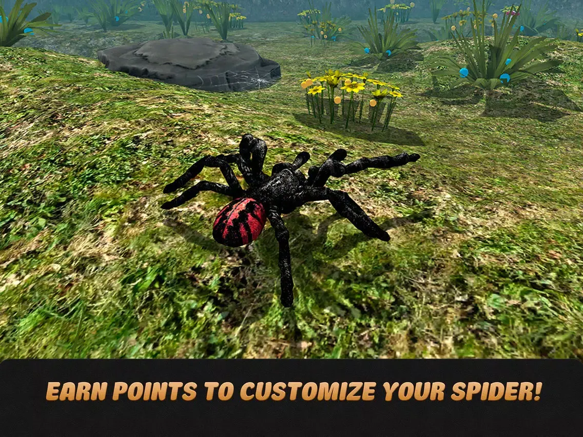 صور Spider Life Simulator 3D Full iPad 