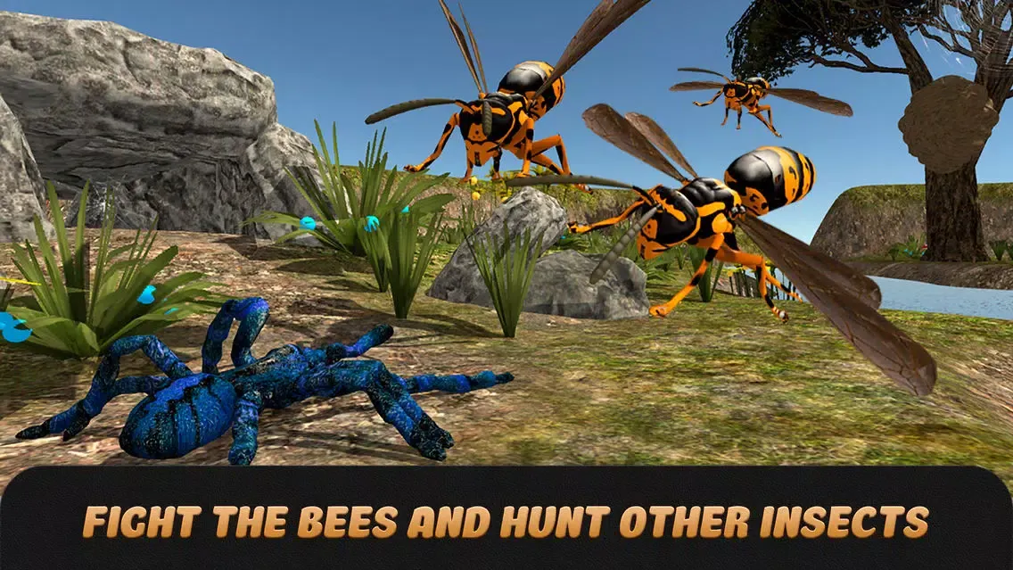 صور Spider Life Simulator 3D Full