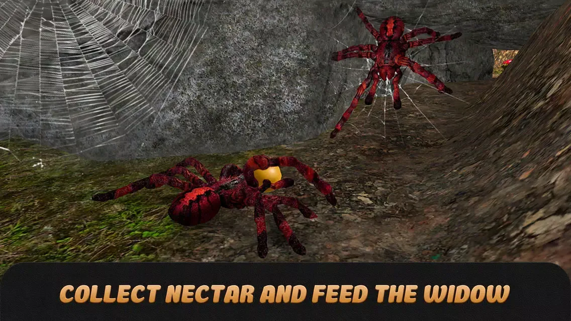 صور Spider Life Simulator 3D Full