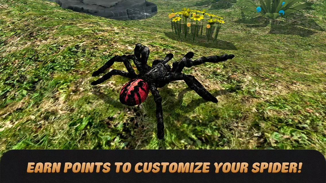 صور Spider Life Simulator 3D Full
