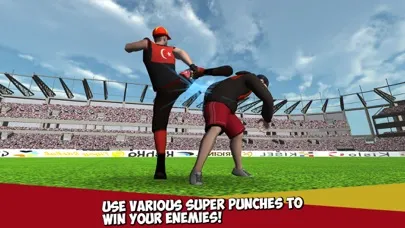 Tangkapan skrin Sport Stars Fighting Championship 3D