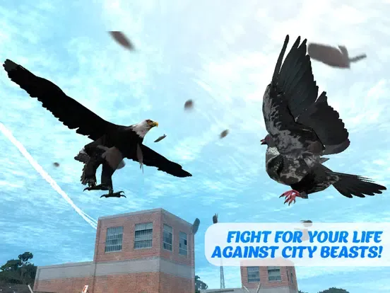 Pigeon Bird Survival Simulator 3D iPad 应用截图