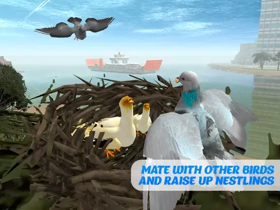 Pigeon Bird Survival Simulator 3D iPad 应用截图