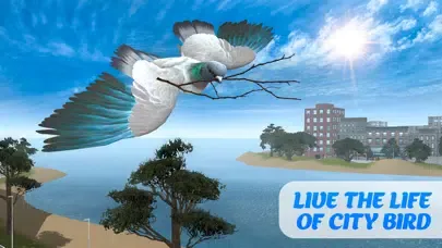 Pigeon Bird Survival Simulator 3D应用截图
