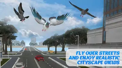 Pigeon Bird Survival Simulator 3D应用截图