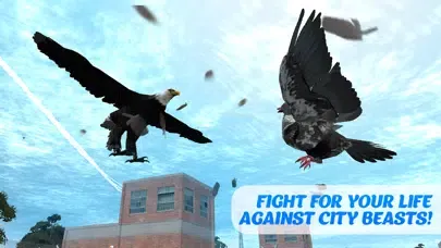 Pigeon Bird Survival Simulator 3D应用截图