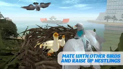 Pigeon Bird Survival Simulator 3D应用截图