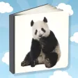 Picture Book For Toddlers! Picture Book For Toddlers!