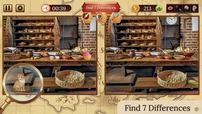 Tangkapan layar Hidden Mystery of Differences