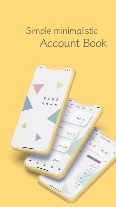Zrzuty ekranu Minus - Simple Money Manager