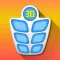 Six Pack in 30 Days
