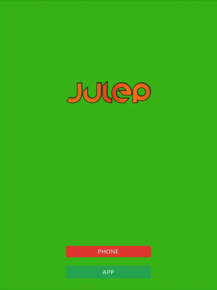 تصاویر Julep iPad 