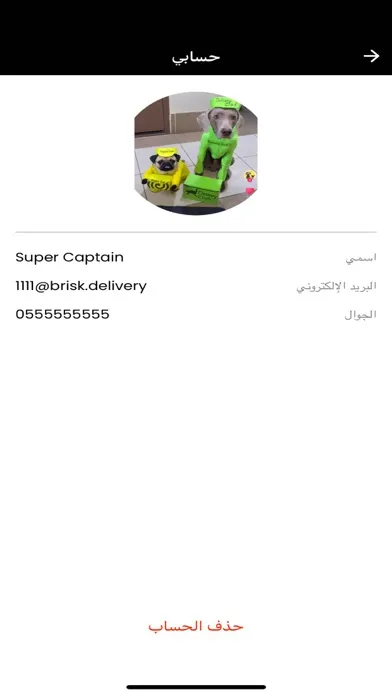 Zrzuty ekranu Brisk - Delivery