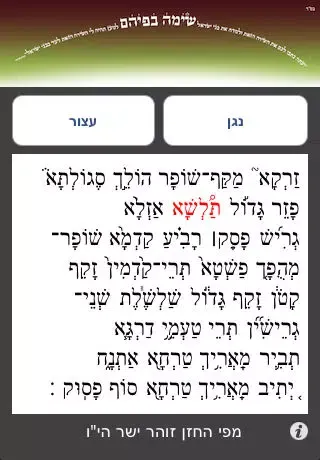 Torah Reading - קריאת התורה スクリーンショット