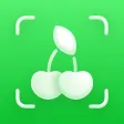 EatIt - Food & Carb scanner