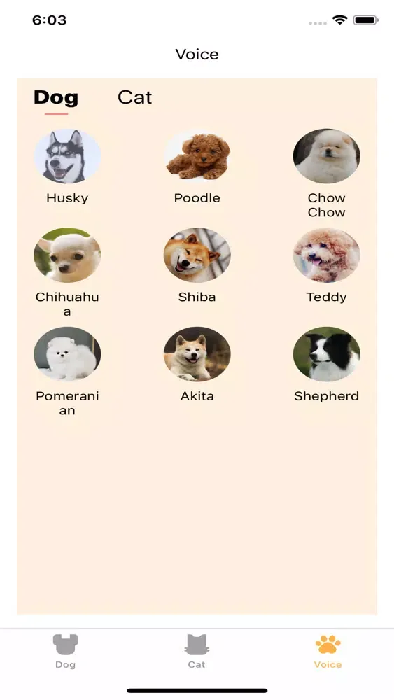human talk to dog&cat應用截圖