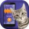 Cat Simulator Translator