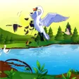 Bow Bird Hunting