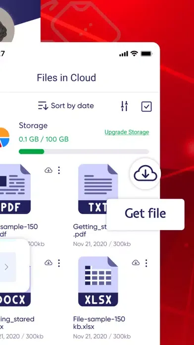 Tangkapan layar FileGet - Saving files Offline