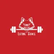 Lifting Force Lifting Force