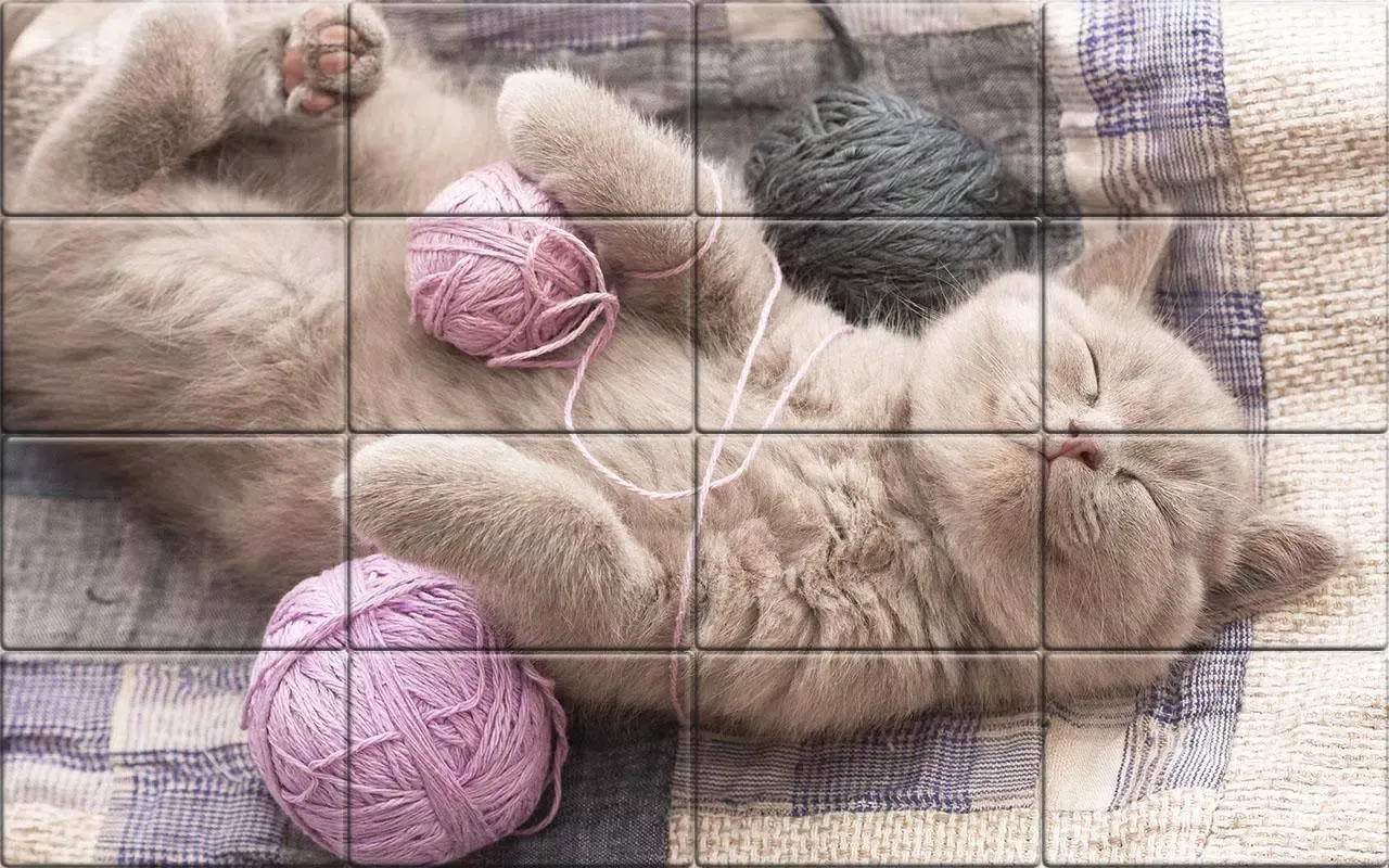 Tile Puzzle Cats Screenshots