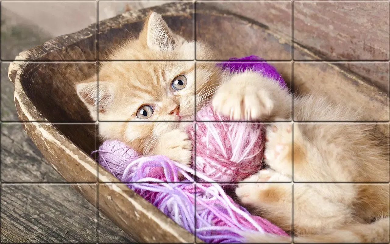 Tile Puzzle Cats Screenshots