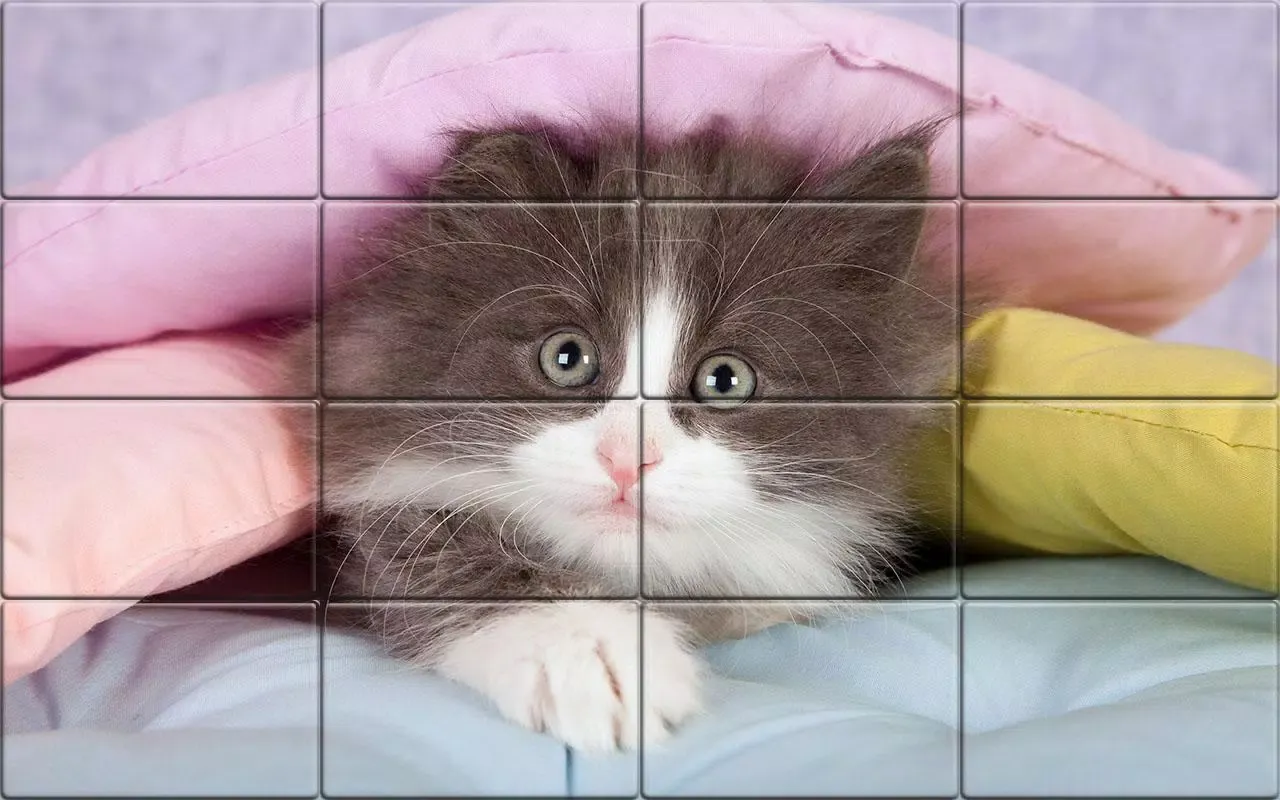 Tile Puzzle Cats Screenshots
