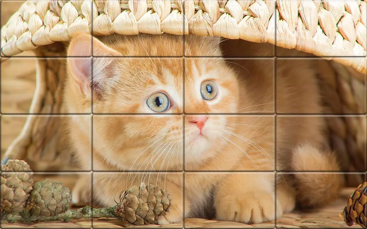 Tile Puzzle Cats Screenshots
