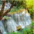Tile Puzzle Nature