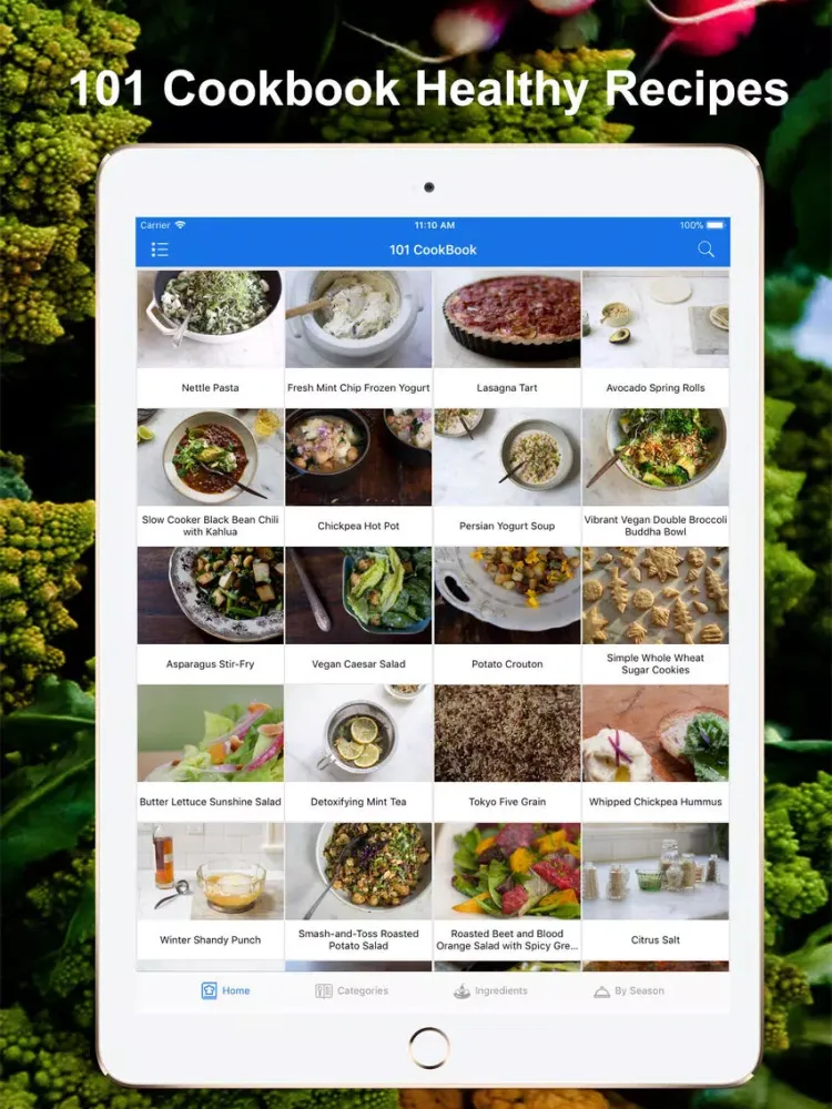 101 Cookbook Healthy Recipes iPad  スクリーンショット