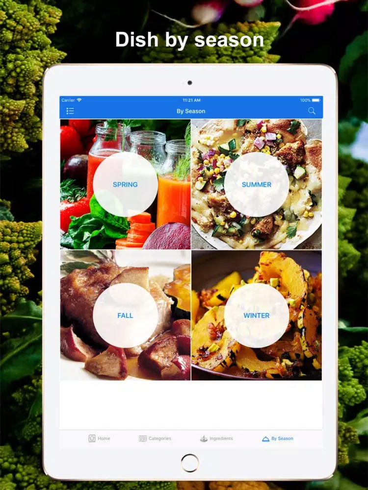 101 Cookbook Healthy Recipes iPad  スクリーンショット