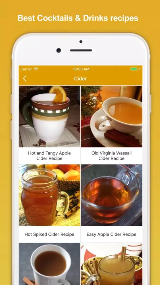Capturas de tela do Drinks Recipes - Fruit Juice