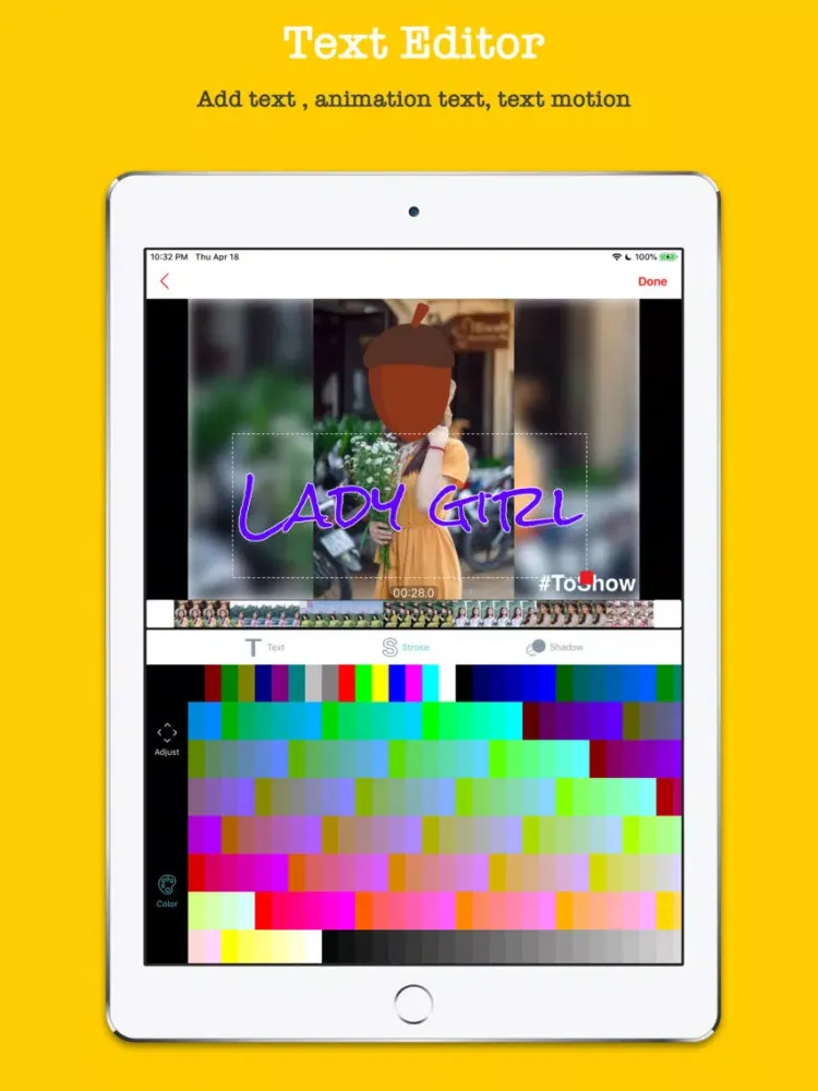 ToShow : Make Photo Slideshow iPad 应用截图