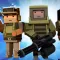 Blocky Fighter Brawlers